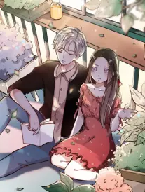 77视频在线观看 折线上的城市 漫画封面